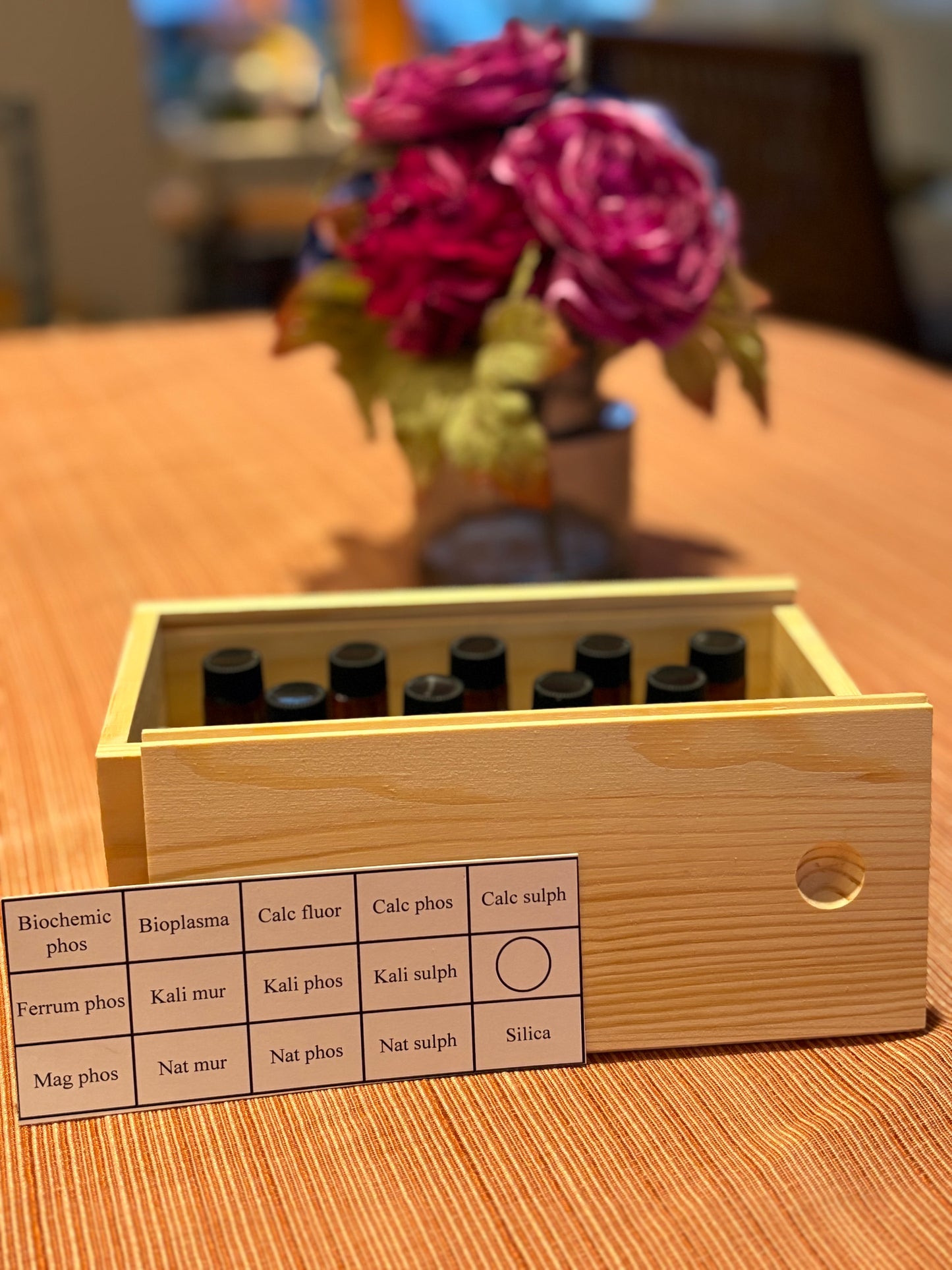 Homeopathy Primer Cell Salts Kit (9c)